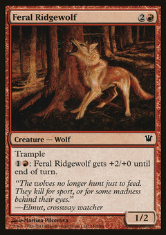 Feral Ridgewolf